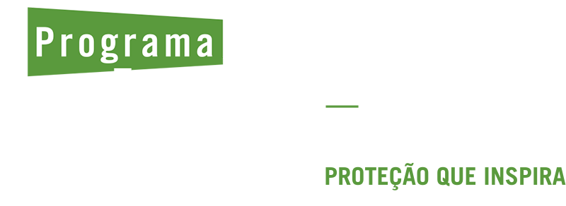 Conheça o Programa Trainee da Prudential